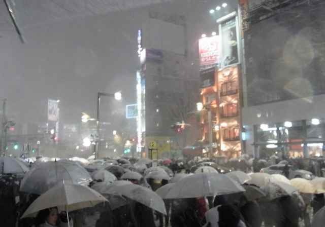傘、傘、傘@新宿アルタ前.jpg